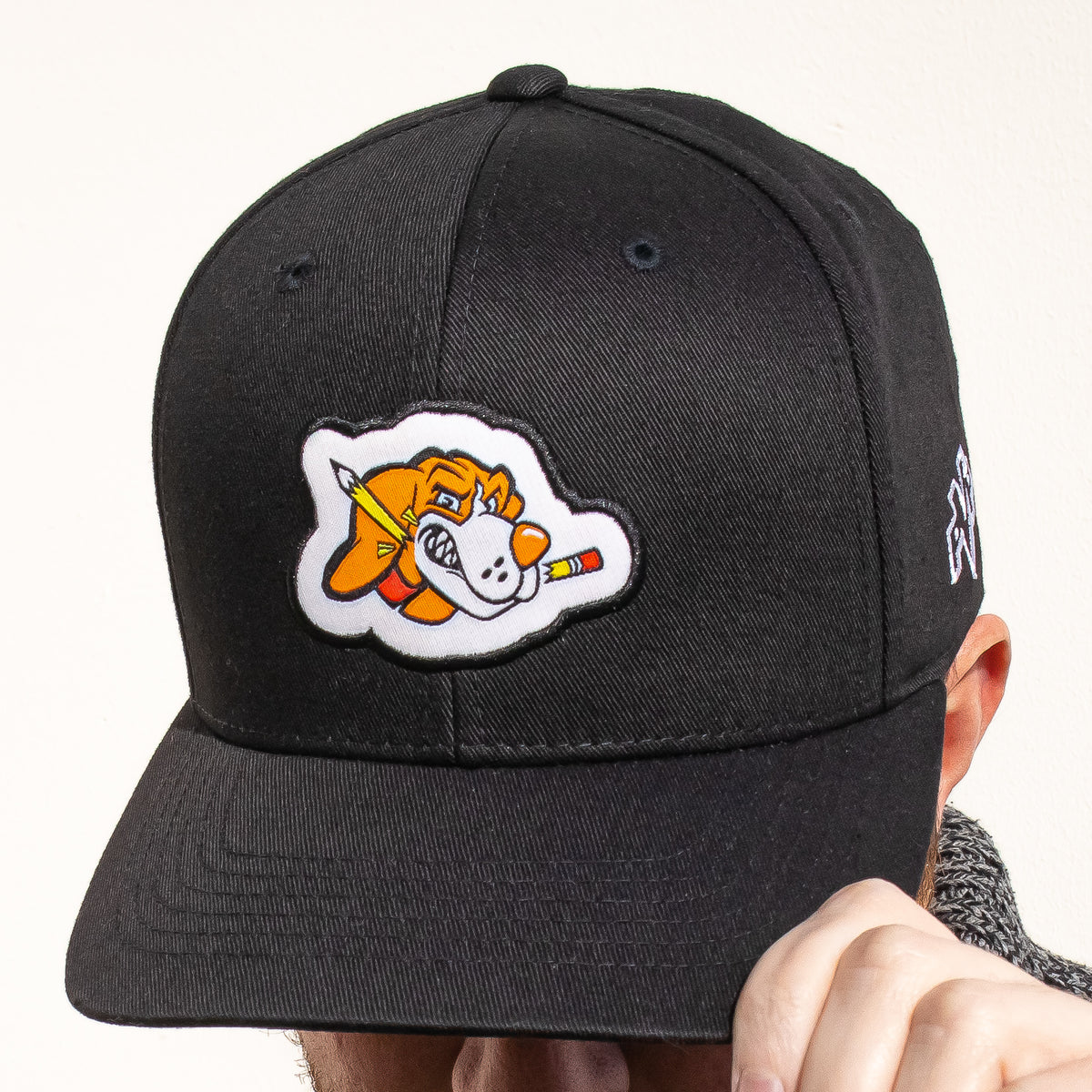 Seattle Toonhounds Baseball Cap – Toonhound Studios